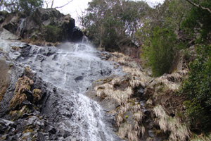 岩壁から勢いよく流れる足尾滝