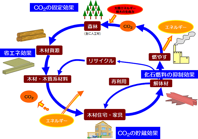 森林資源の循環利用イメージ