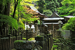 新緑の岩戸神社