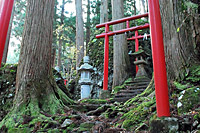 林と一体になった瀞川稲荷神社
