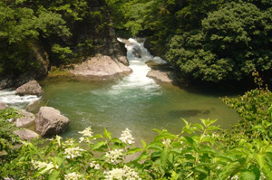 夏は大賑わいを見せる魚ヶ滝